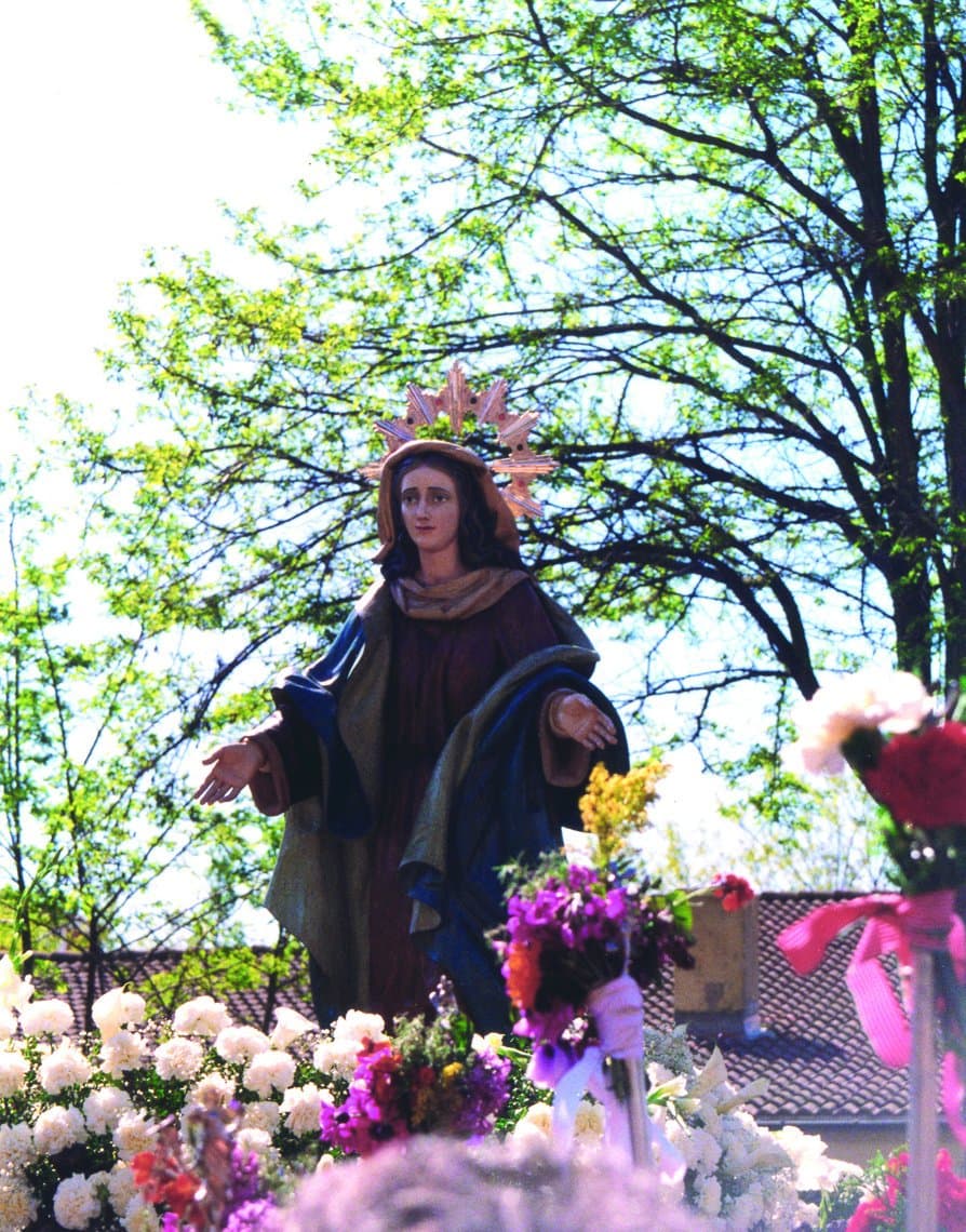 La Virgen del Encuentro entre árboles y flores, camino de la Horta